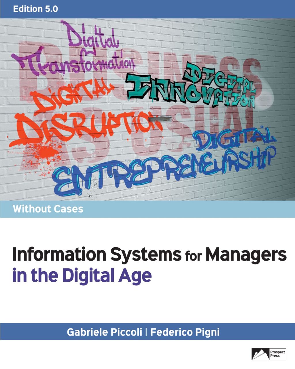 Information Systems for Managers in the Digital Age Without Cases 5th Edition