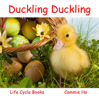 Imagen de portada: Duckling Duckling 9781943241002