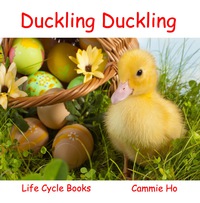 صورة الغلاف: Duckling Duckling 9781943241002
