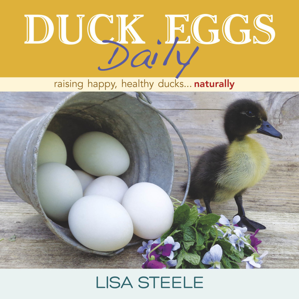 Duck Eggs Daily Raising Happy, Healthy Ducks…Naturally