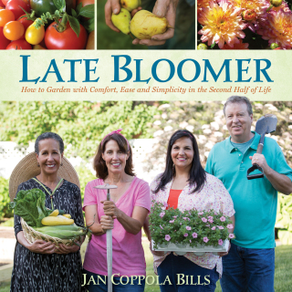 صورة الغلاف: Late Bloomer 9781943366057