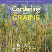 Omslagafbeelding: Gardening with Grains 9781943366354