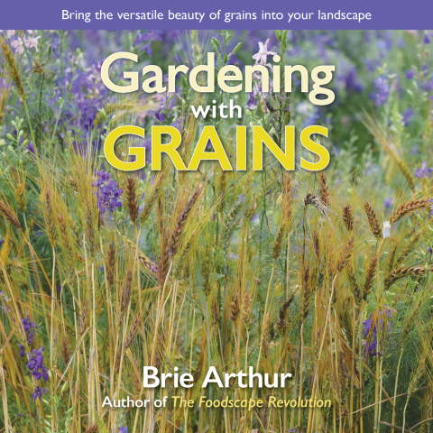 Gardening with Grains: Bring the Versatile Beauty of Grains to Your Edible Landscape - FULL INSTANT DOWNLOAD | PDF DOCX EPUB