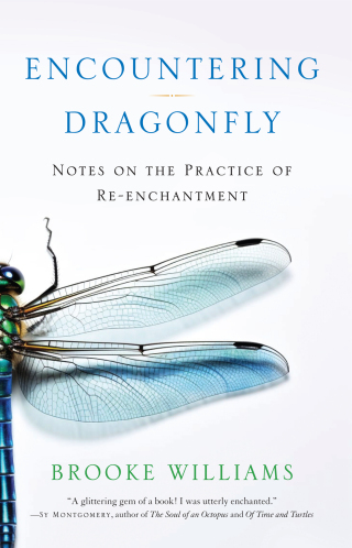 Cover image: Encountering Dragonfly 9781943370290