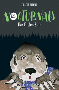Cover image: The Fallen Star 9781944020071