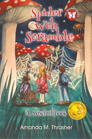 Cover image: Spider Web Scramble 9781944277130