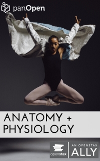 Cover image: Anatomy & Physiology 1st edition 9781944519094