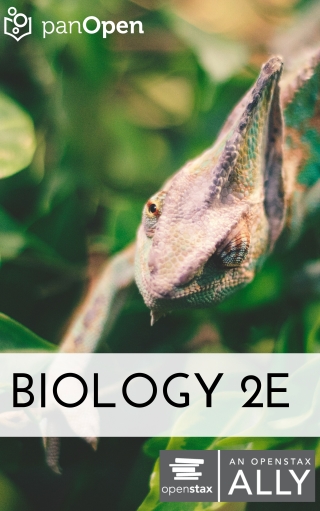 Cover image: Biology 2e 2nd edition 9781944519285