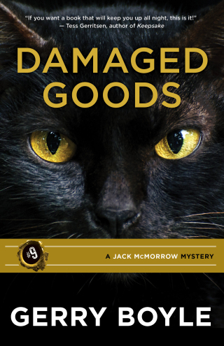 Imagen de portada: Damaged Goods 9781944762667