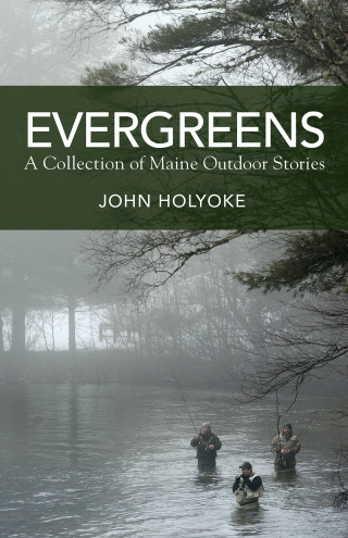 Omslagafbeelding: Evergreens 9781944762773