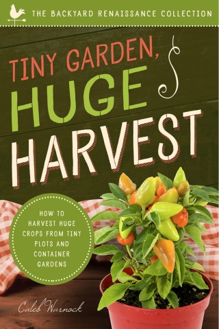Imagen de portada: Tiny Garden, Huge Harvest 9781942934844
