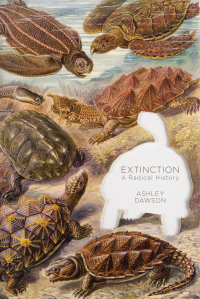 Cover image: Extinction 9781944869014