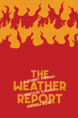 Cover image: The Weather Report 9781945335440