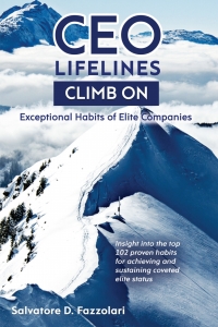 Cover image: CEO Lifelines 9781945389801