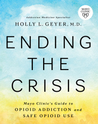 Imagen de portada: Ending the Crisis 9781945564567