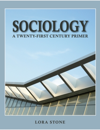 Cover image: Sociology:  A Twenty-First Century Primer 1st edition 9781945628177