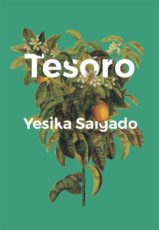 Imagen de portada: Tesoro 9781945649240