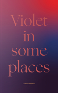 Immagine di copertina: Violet in Some Places 9781945649486