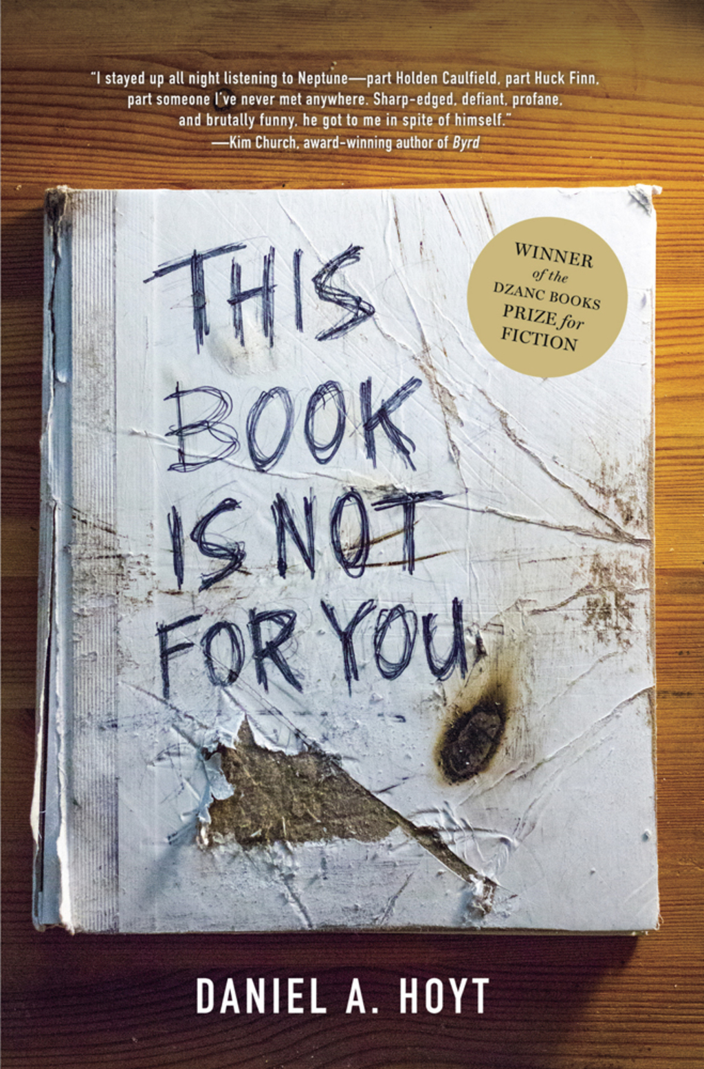 This Book Is Not for You eBook