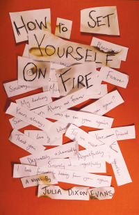 Titelbild: How to Set Yourself on Fire 9781945814501