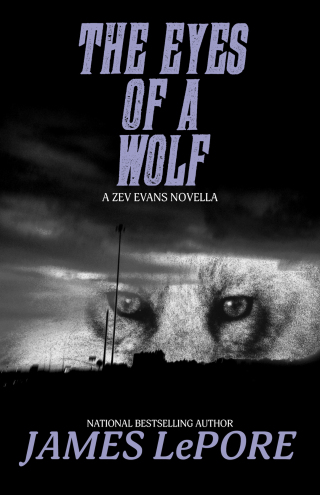 Cover image: Eyes of a Wolf 9781611882506