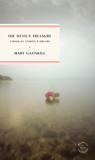 Cover image: The Devil's Treasure 9781946022820