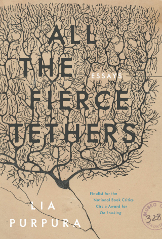 Omslagafbeelding: All the Fierce Tethers 9781946448309