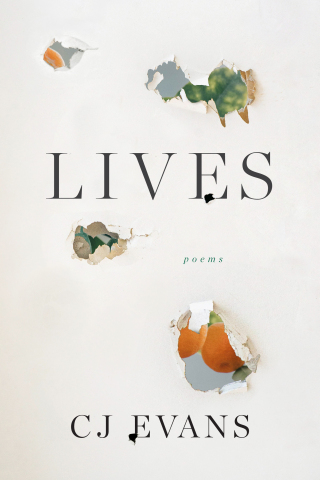 Imagen de portada: Lives 9781946448965