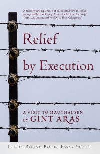 Omslagafbeelding: Relief by Execution 1st edition 9781947003477