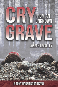 Imagen de portada: Cry from an Unknown Grave 9781947305106