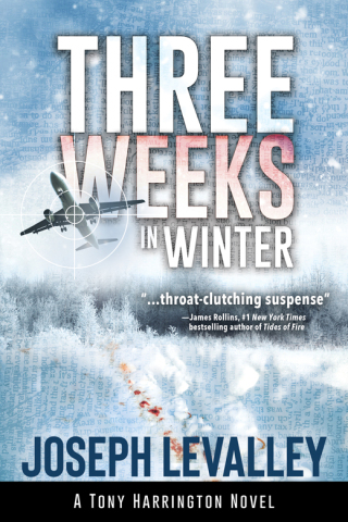 Cover image: Three Weeks in Winter 1st edition 9781947305717