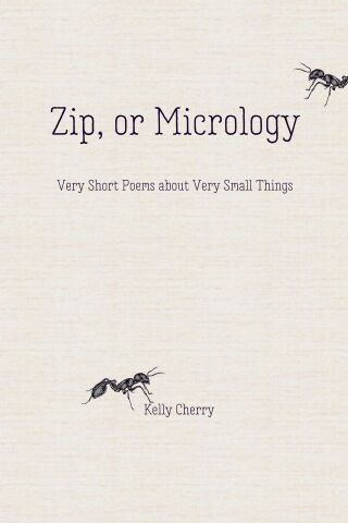 Imagen de portada: Zip, or Micrology 9781947548398