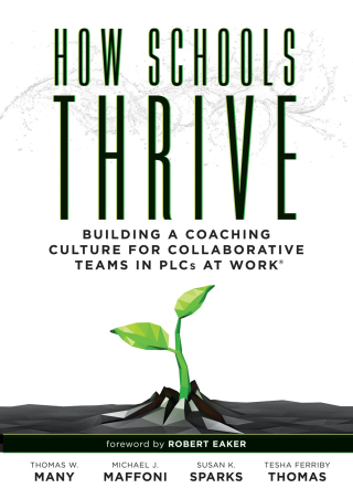 Imagen de portada: How Schools Thrive 1st edition 9781947604599