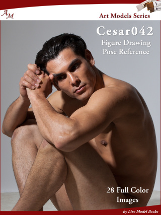 Imagen de portada: Art Models Cesar042 1st edition 9781947728066