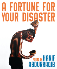 Cover image: A Fortune for Your Disaster 9781947793439