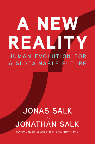 Cover image: A New Reality 9781947951044