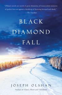 Imagen de portada: Black Diamond Fall 9781947993341