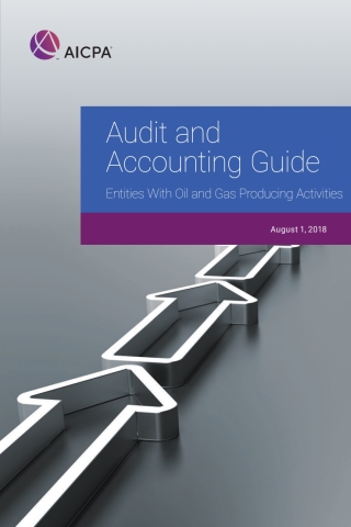 Cover image: Audit and Accounting Guide Entities with Oil and Gas Producing Activities 1st edition 9781948306225a
