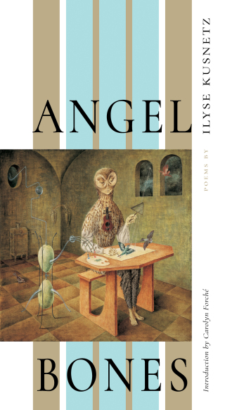 Imagen de portada: Angel Bones 9781948579001