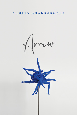 Cover image: Arrow 9781948579117