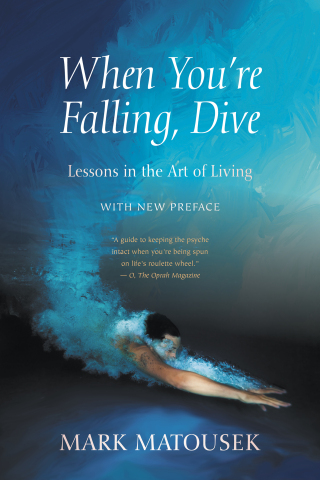 Imagen de portada: When You're Falling, Dive 9781948626576
