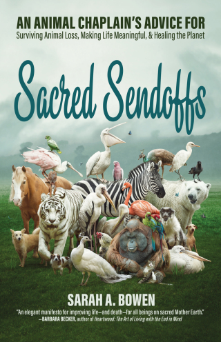 Titelbild: Sacred Sendoffs 9781948626590