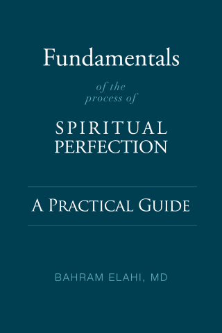 Imagen de portada: Fundamentals of the Process of Spiritual Perfection 9781948626613