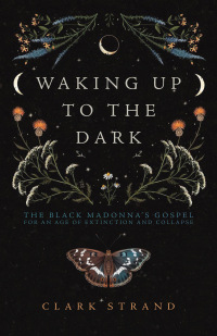 Cover image: Waking Up to the Dark 9781948626729