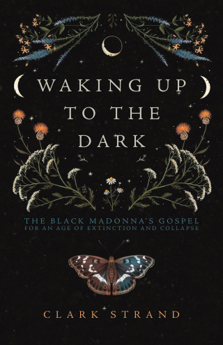 Cover image: Waking Up to the Dark 9781948626729