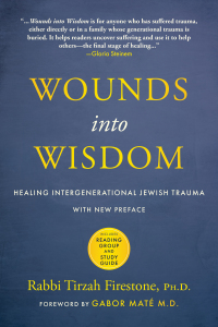 Cover image: Wounds into Wisdom 9781948626828