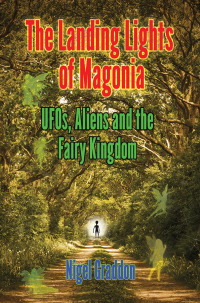 Omslagafbeelding: THE LANDING LIGHTS OF MAGONIA
