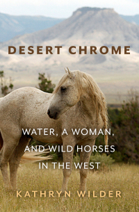 Cover image: Desert Chrome 9781948814362