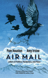 Cover image: Air Mail 9781948814386