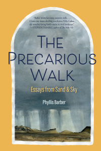 Cover image: The Precarious Walk 9781948814591